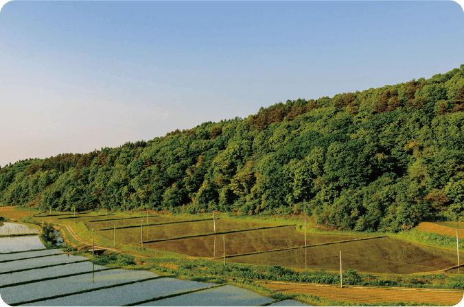 大自然に囲まれて。